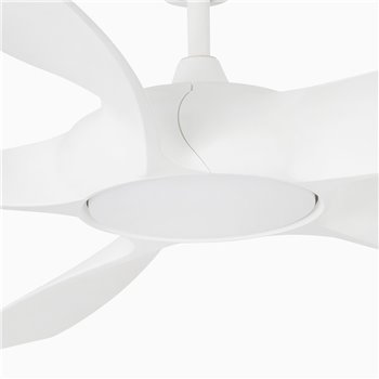 Ventilador Cocos Faro Barcelona
