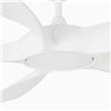 Ventilador Cocos Faro Barcelona