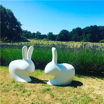 Silla Rabbit Qeeboo