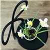 Silla Ribbon Qeeboo