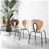 Roble-Negro