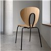 Roble-Negro