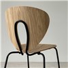 Roble-Negro