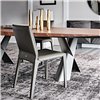 Silla Penelope Cattelan Italia