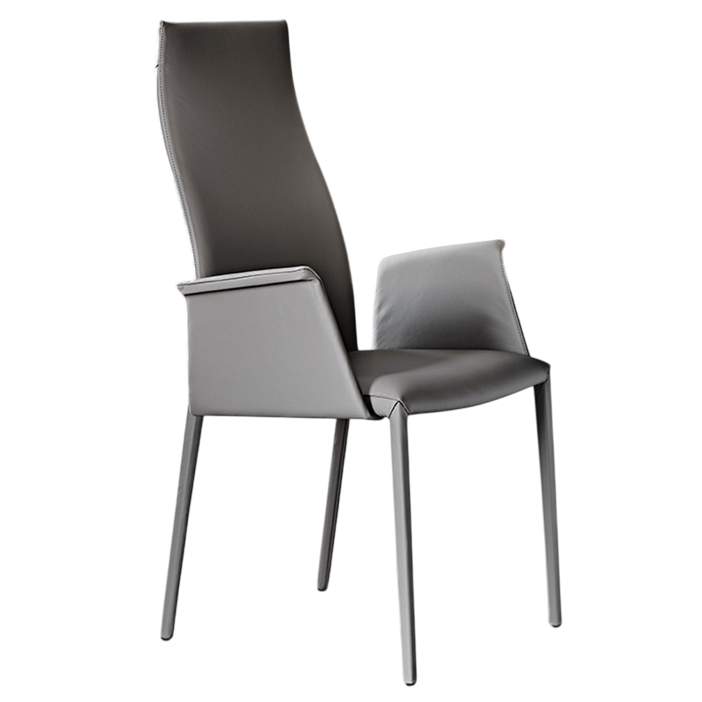 Silla Norma Alta Brazos Cattelan Italia