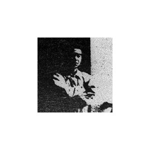 T. Mizutani