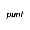 Punt Team